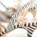 Lolita twins 303